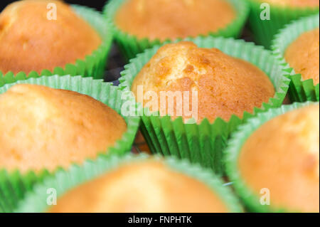 Le bac de cup cakes refroidir sur un bac de refroidissement après sortant d'un four dans une cuisine maison. Banque D'Images