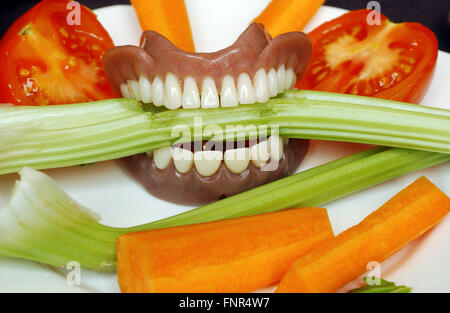 Un bâton de céleri entre les dents d'un ensemble de prothèses, sur une assiette pleine de divers autres légumes. Banque D'Images