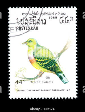 Timbre-poste du Laos à poitrine orange représentant un pigeon vert (Treron bicincta) Banque D'Images