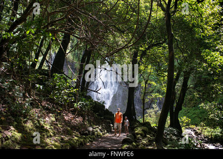 La Cascade, Tahiti, Polynésie française. La France. Faarumai Waterfall, Tahiti Nui, îles de la société, Polynésie Française, Pa Banque D'Images