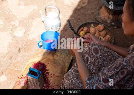 Une femme épluche les betteraves tout en préparant un repas cuit sur un poêle du charbon de bois dans la région de Bahir Dah, l'Éthiopie, l'Afrique Banque D'Images