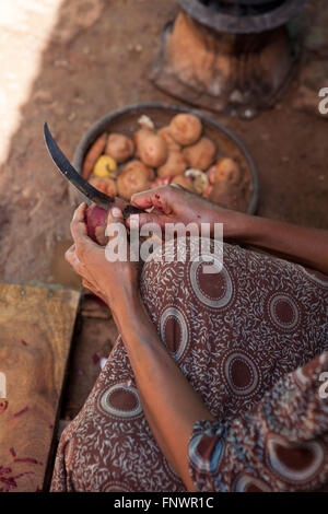 Une femme épluche les betteraves tout en préparant un repas cuit sur un poêle du charbon de bois dans la région de Bahir Dah, l'Éthiopie, l'Afrique Banque D'Images