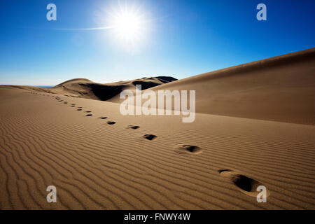 Plus de traces du soleil dans les dunes de sable du désert, Great Sand Dunes National Park, Colorado, USA. Banque D'Images