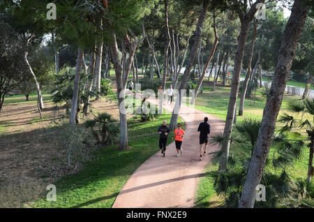 Le jogging dans le Jardin del Turia, Valencia Espagne Banque D'Images