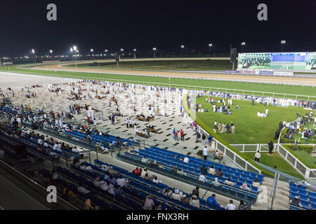 Les spectateurs à regarder les courses de chevaux à la Meydān, Dubaï ÉMIRATS ARABES UNIS Banque D'Images