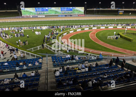 Les spectateurs à regarder les courses de chevaux à la Meydān, Dubaï ÉMIRATS ARABES UNIS Banque D'Images