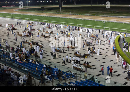 Les spectateurs à regarder les courses de chevaux à la Meydān, Dubaï ÉMIRATS ARABES UNIS Banque D'Images