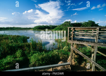 Étang Eco, donnent sur le parc national des Everglades, Florida, USA Banque D'Images