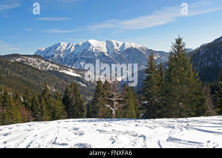 Unnütz à Achenkirch - Tirol Banque D'Images