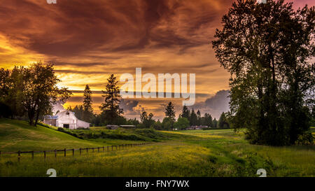 Coucher de soleil sur une ferme Fort Langley et champs sous un ciel menaçant Banque D'Images