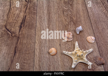 L'étoile blanche et des coquillages sur un fond de bois Banque D'Images