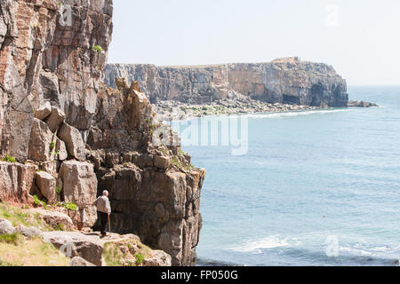 Cliffs, près de Saint Govan's Chapel, Saint Govan's Head, près de Pembroke, Pembrokeshire, Pays de Galles, Royaume-Uni, Europe Banque D'Images