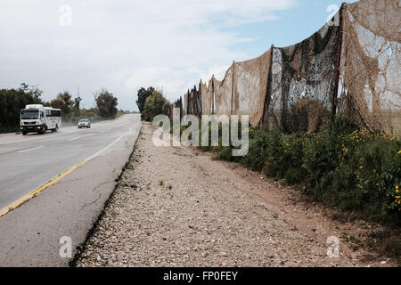 Conseil Régional Eshkol, Israël. 16 mars, 2016. Un immense filet de camouflage est déployée le long de la route 25 près du kibboutz Nahal Oz, servant à protéger les véhicules qui passent de tireurs isolés à partir de la bande de Gaza. Un calme tendu du côté d'Israël domine la frontière avec Gaza après un échange de tirs de roquettes de Gaza vers Israël et d'un Israël de représailles grève Air Force au cours des derniers jours. Credit : Alon Nir/Alamy Live News Banque D'Images