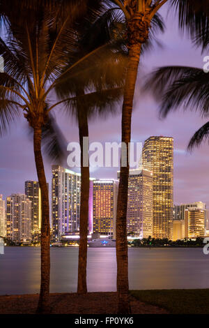 Plus de crépuscule ville de Miami, Miami, Floride, USA Banque D'Images