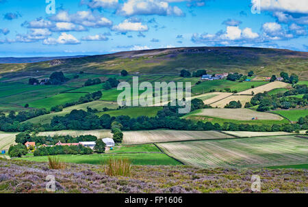 Vue de Westerdale Moor sur les terres agricoles vers Castleton Ridge, l'été, North York Moors, Yorkshire, Angleterre Royaume-uni Banque D'Images