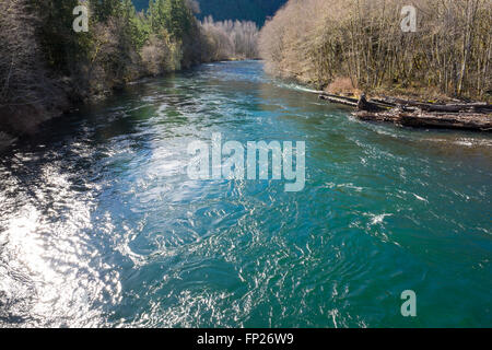 La région de McKenzie River dans l'Oregon tourné en couleur au cours de la lumière du jour. Banque D'Images