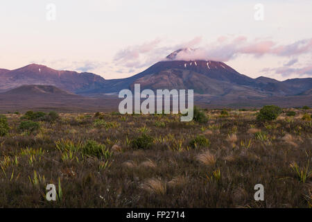 Le mont Ngauruhoe volcano au coucher du soleil, Parc National de Tongariro, Nouvelle-Zélande Banque D'Images