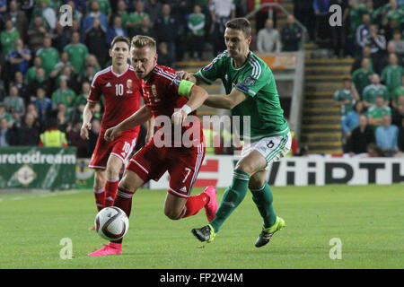 07 Sept 2015 - Euro 2016 Qualifications - Groupe F - Irlande du Nord 1 Hongrie 1. Le capitaine de la Hongrie Balázs Dzsudzsák (7) détient au large un défi de Chris Baird. Banque D'Images