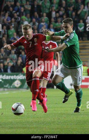 07 Sept 2015 - Euro 2016 Qualifications - Groupe F - Irlande du Nord 1 Hongrie 1. Le capitaine de la Hongrie Balázs Dzsudzsák (7) détient au large un défi de Chris Baird. Banque D'Images