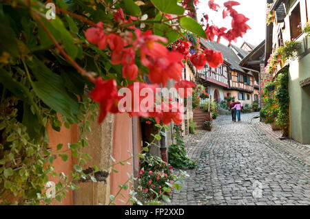 ALSACE EGUISHEIM 'rue des Remparts' couple romantique floral promenade le long de la rue pavée du village historique d'Eguisheim sur route vin Alsace France Banque D'Images