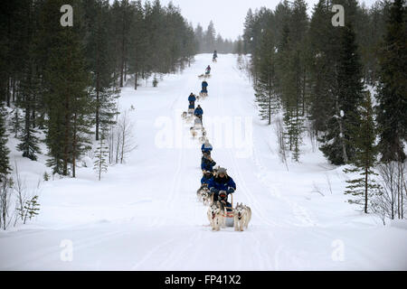 Salla husky safari. Laponie, Finlande. Avant le safari notre guide vous offre un cours de conduite et vous dire comment gérer la Banque D'Images