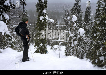 Salla, le voyage au mur de glace, Salla, Laponie, Finlande. Vous pouvez faire l'expérience de l'hiver la nature même en marchant - en raquettes Banque D'Images