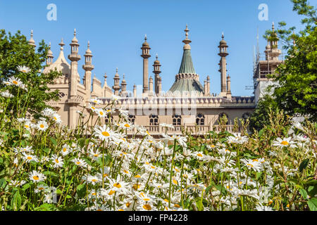 Pavillon Royal historique avec des fleurs de printemps en face, Brighton. East Sussex, au sud de l'Angleterre. Banque D'Images