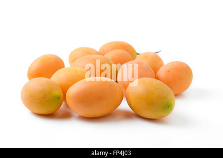 Marian plum fruit jaune Banque D'Images
