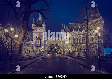 Château Vajdahunyad la nuit à Budapest Hongrie Banque D'Images