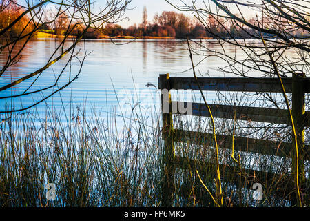 Un matin d'hiver sur l'un des lacs à Cotswold Water Park Banque D'Images