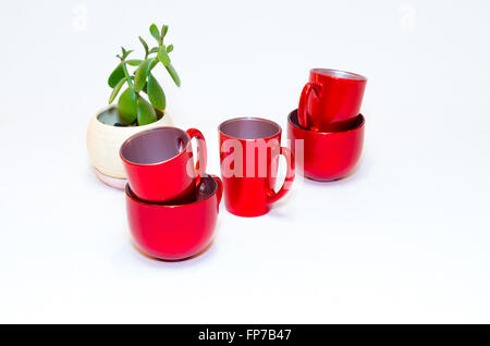 Tasses de café vide rouge et crassula ovata ou jade plante en pot sur fond blanc Banque D'Images