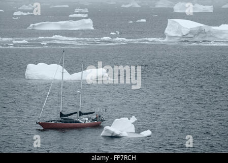 S/V Northanger navigation dans le Canal Lemaire, icebergs, l'Antarctique. Banque D'Images