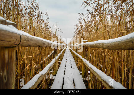 Sentier de bois flottants, la neige fait de planches avec autour d'elle, conduisant dans le lac Banque D'Images