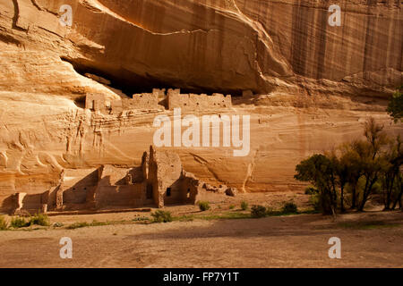 Ruines de la maison blanche en anciens Navajo Canyon de Chelly National Monument. Cela montre la partie inférieure des ruines et les ruines. Banque D'Images