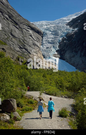 Le Glacier Briksdal. Le Parc National de Jostedalsbreen. La Norvège Banque D'Images