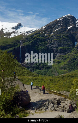 Le Parc National de Jostedalsbreen. La Norvège Banque D'Images