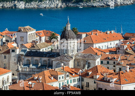 Cathédrale de l'Assomption de la Vierge Marie vue depuis les remparts de Dubrovnik, sur la vieille ville de la ville de Dubrovnik, Croatie Banque D'Images