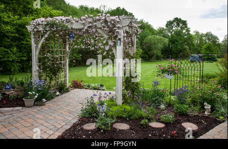 Jardin de fleurs printanières chemin de l'arbre de la vigne, arche, clematis rose Montana Maylene et vignes de rubins avec fleurs, New Jersey, États-Unis, États-Unis, FS 11.19 MB, Banque D'Images