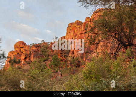 L'escarpement de grès le Waterberg Plateau sur le côté est des hauts plateaux du centre de la Namibie, l'Afrique australe. Banque D'Images