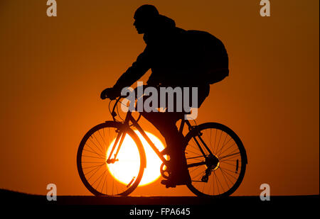 Munich, Allemagne. Mar 17, 2016. Un homme à vélo dans un parc dans le soleil du soir, à Munich, Allemagne, 17 mars 2016. PHOTO : SVEN HOPPE/DPA/Alamy Live News Banque D'Images