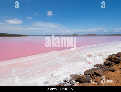 Hutt Lagoon, Lac Rose contenant du bêta-carotène, l'ouest de l'Australie, WA, Australia Banque D'Images
