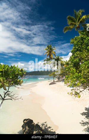 Plage de sable fin bordée de cocotiers, Cayo Levantado Samana, République dominicaine, Caraïbes, Amérique Latine, Banque D'Images