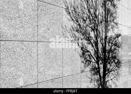 L'ombre des arbres sur un mur à Milton Keynes. Buckinghamshire, Angleterre. Le noir et blanc Banque D'Images