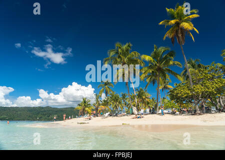 Plage de sable fin bordée de cocotiers, Cayo Levantado Samana, République dominicaine, Caraïbes, Amérique Latine, Banque D'Images