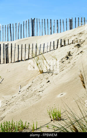 Des clôtures sur la plage de l'Espiguette en Camargue France Banque D'Images