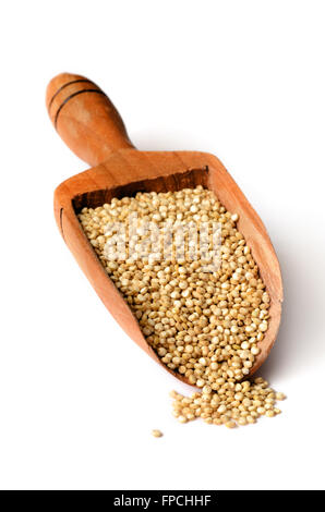 Les graines de quinoa blanc sain close up shot Banque D'Images