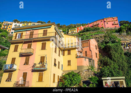 Rue pittoresque de Manarola, magnifique village du Parc National des Cinque Terre, La Spezia, Italie. Banque D'Images