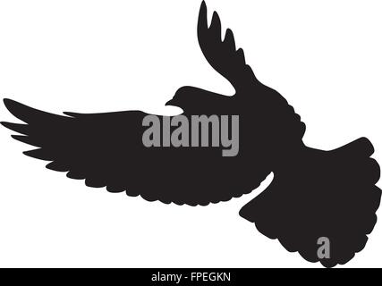 Colombe de vecteur Illustration de Vecteur