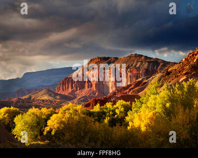 Couleur automne peupliers et des formations rocheuses avec les nuages de tempête. Capitol Reef National Park, Utah Banque D'Images