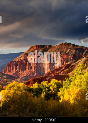 Couleur automne peupliers et des formations rocheuses avec les nuages de tempête. Capitol Reef National Park, Utah Banque D'Images